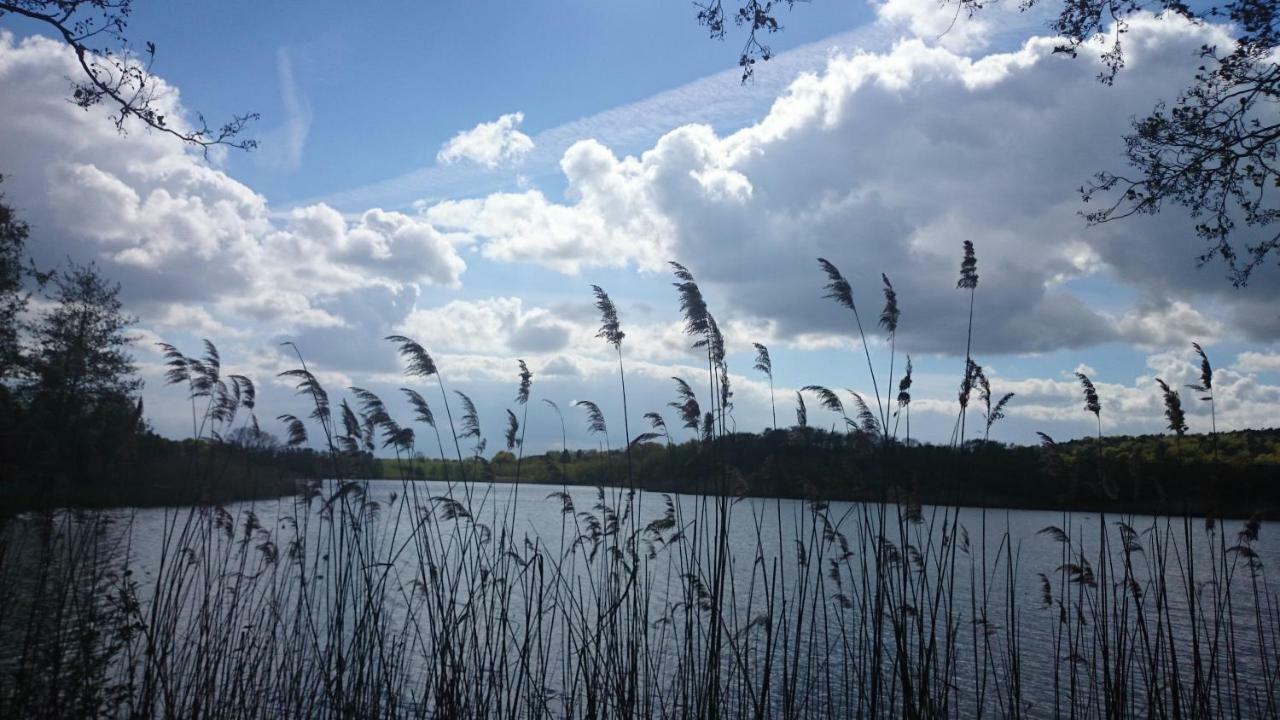 Schloonseevilla Mit Tiefgarage - 200 M Zum Strand Херингсдорф Екстериор снимка